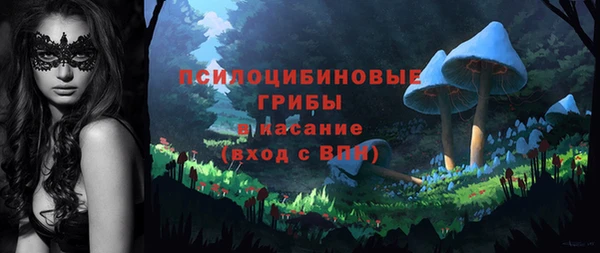 альфа пвп Корсаков